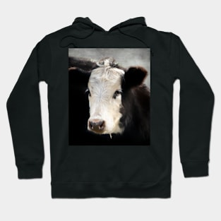 Black and White Cow Hoodie